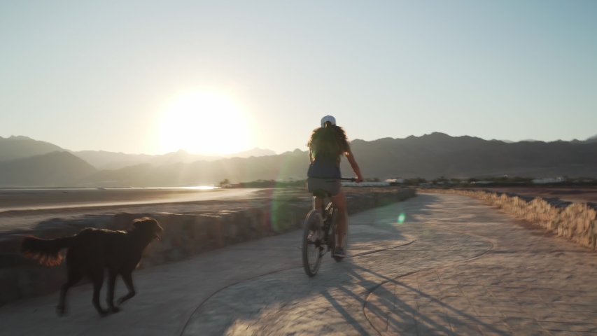 Slim girl cycling with her dog at pavement road at sunrise