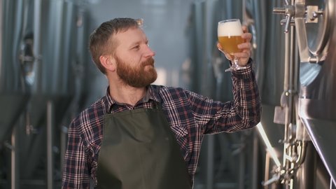 Portrait. male brewer checks the color of freshly brewed beer from a beer tank while standing in a brewery