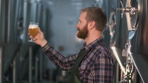 Successful businessman brewer with a beard evaluates freshly brewed beer from a beer tank while standing in a beer factory.