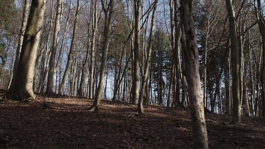Hiking uphill in the forest wearing boots, backpack, camo pants and red hoodie.