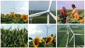 Wind Turbine Farm In Green Field - Green Energy Multi Screen Video Montage. Aerial View of Giant Wind Turbine Rotating in Strong Winds. Electricity Generating Wind Turbines in the Countryside. 