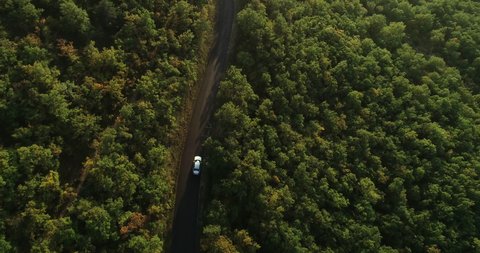 Millau, France - September 2019: Aerial top view of autumn green trees in forest background. Car driving along the forest road. AERIAL: Car driving through forest. From above view country road.