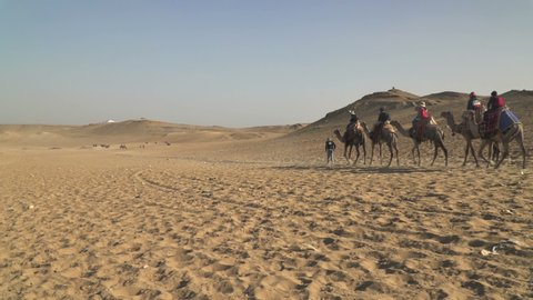 Camel caravan in Sahara desert, sunny afternoon, clear blue sky