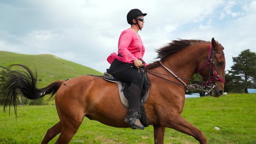 professional horse riders riding horses slow Stock Footage Video (100% ...