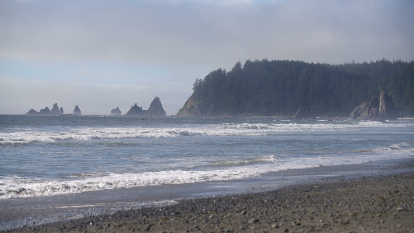 Coast and beach at Olympic National Park, Washington image - Free stock ...