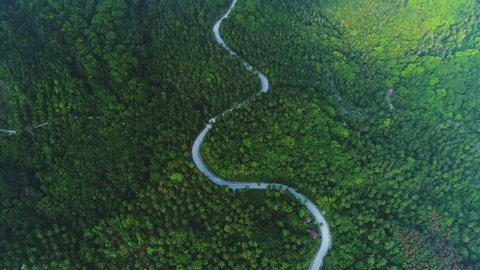 Deep Forest Tree Landscape Curved Road Aerial View. Epic Hill Chain Scenery Covered by Lush Green Jungle. Highway Go Through Asian Ecosystem Wildlife Habitat Natural Environment Concept Thailand 4K