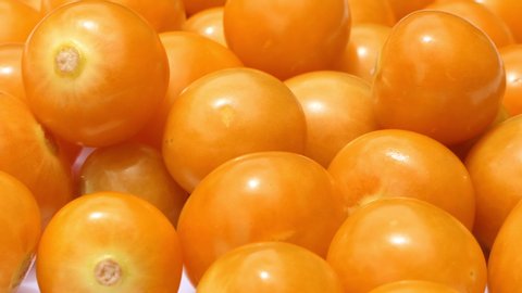 Groundcherry fruits with water drops rotated. Close up Ripe fresh Physalis plant, yellow berry. Cape gooseberry. Goldenberry. Slow motion 4K UHD video. fresh gooseberries in water