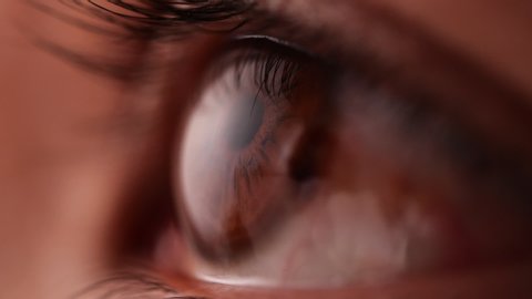 Close-up of brown eye blinking in Slow Motion. Young Woman is opening and closing her beautiful eye.