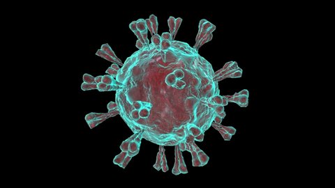 Hepatitis B Virus Rotation Hcv Stockvideoklipp Pa Helt Royaltyfria 7073788 Shutterstock