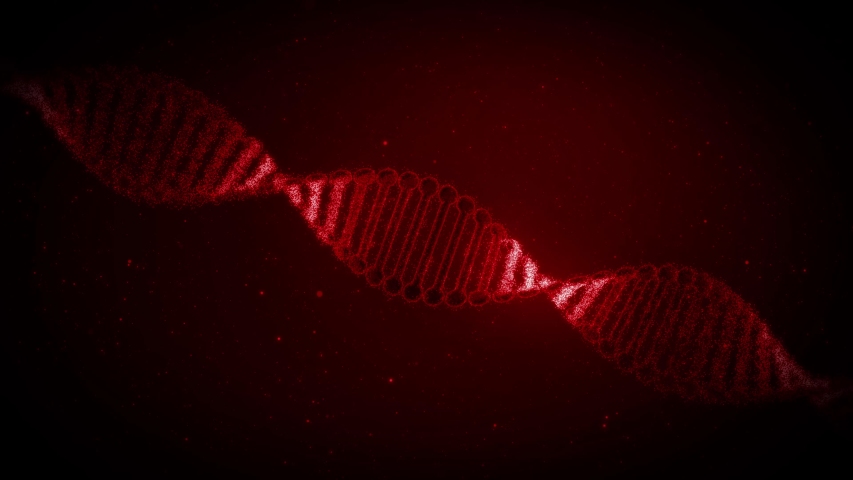 DNA ( Deoxyribo nucleic Acid)
