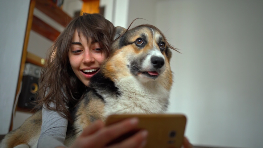 Joyful smiling attractive young woman hugging cute corgi dog and taking selfie with pet using phone | Shutterstock HD Video #1047994624
