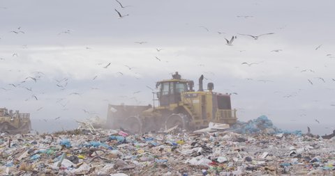 Flock of birds flying over vehicle working and clearing rubbish piled on a landfill full of trash with cloudy overcast sky in the background in slow motion