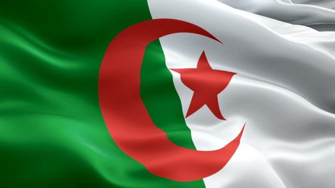 Algeria waving flag. National 3d Algerian flag waving. Sign of Algeria seamless loop animation. Algerian flag HD resolution Background. Algeria flag Closeup 1080p Full HD video for presentation
