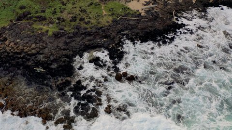 Pacific ocean waves hitting the shore in Hawaii