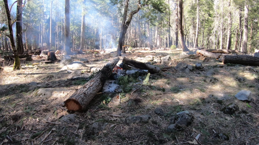 Prescribed burn to prevent wildfires in Yosemite National Park