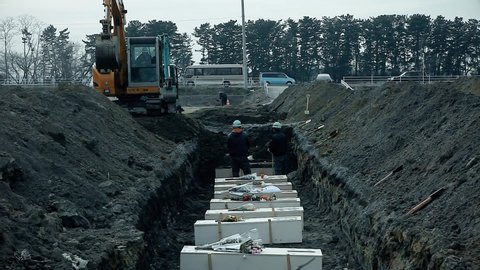 Fukushima, Japan - 03/11/2011 : burial of unknown japanese victims in white coffins after the tsunami. Flowers are left on the coffin to honor the dead.