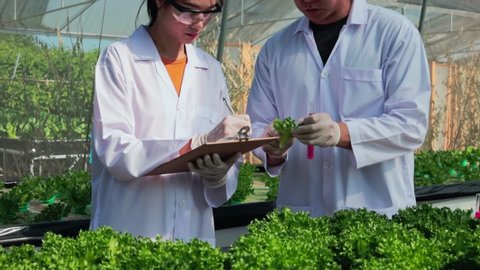 Scientists test the solution, Chemical inspection, Check freshness at organic, hydroponic farm.	