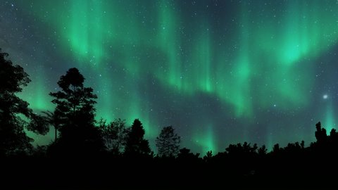 Aurora Borealis,Northern Lights or polar light in beautiful night sky over the forest,Realistic aurora time lapse animation background.