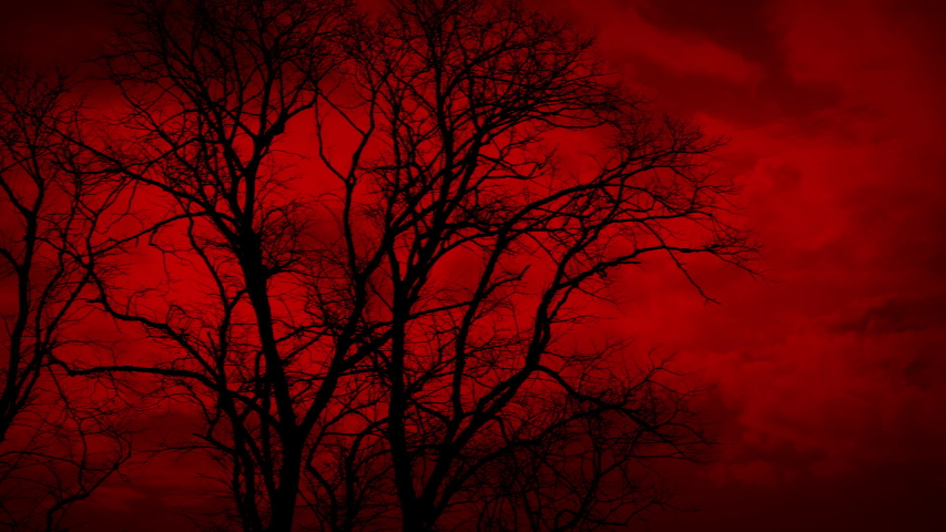 apocalyptic red sky trees strong wind Stock Footage Video (100% Royalty ...