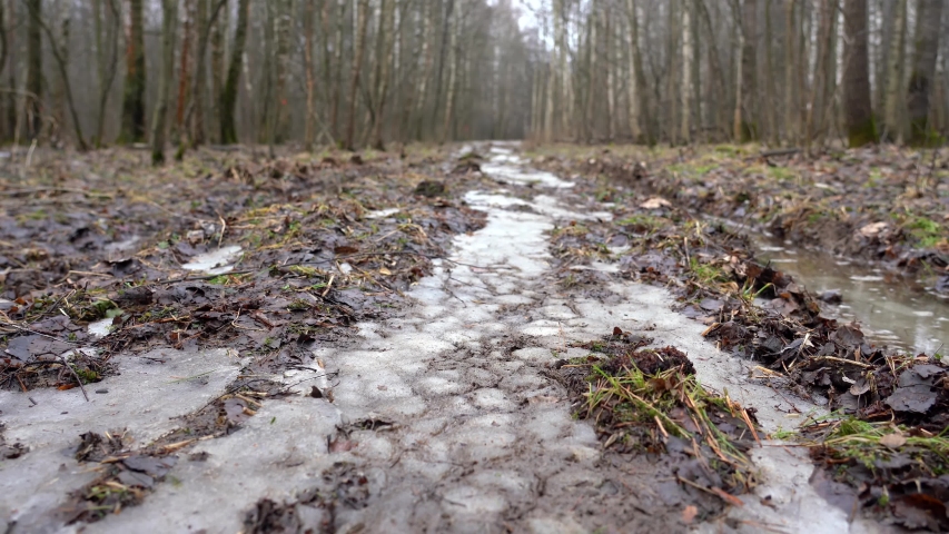 Deep dirt rut with thawed water in the forest off road.