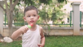 Slow motion video of a cute Asian boy eating a watermelon popsicle ice cream and saying no to sharing it on a very hot summer day in the yard