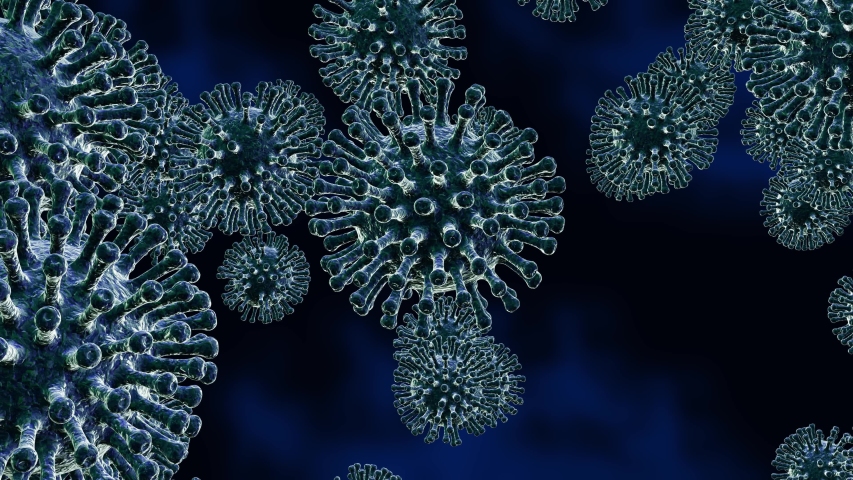 influenza virus structure animation