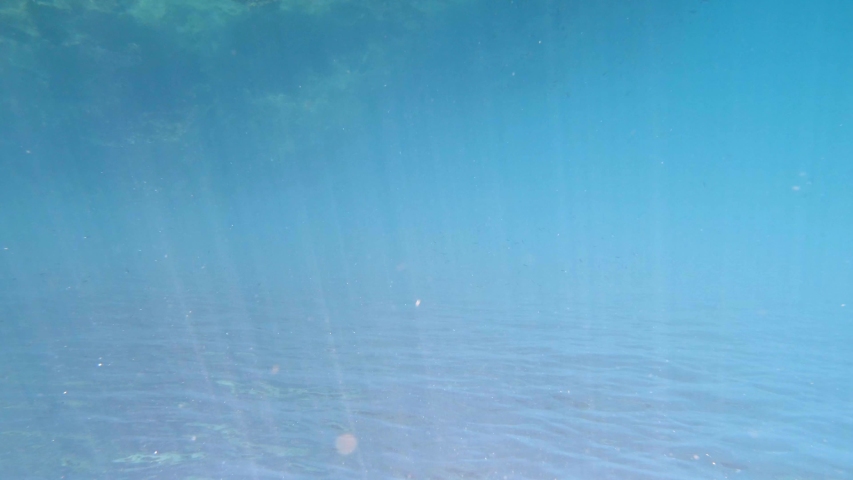 Underwater shot of surface of the sea. | Shutterstock HD Video #1048095646