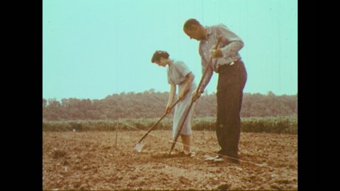 1950s: Farm. Man and woman work in field.