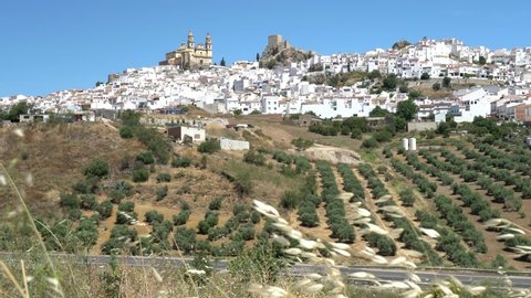 Panoramic sight in the beautiful Olvera, province of Cadiz, Andalusia, Spain.