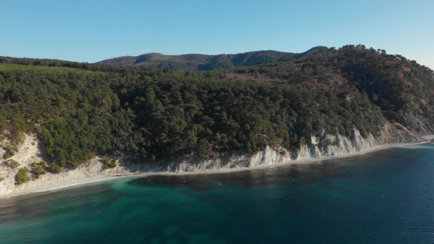 Pine trees on a white rock. Rocky shore of clear blue Black Sea. Aerial shot