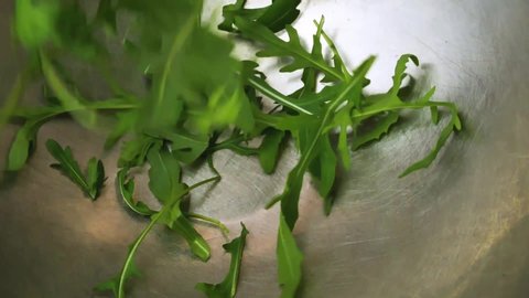Slow motion view of fresh light-green leaves of arugula are falling on the bottom of stainless pan as a part of salad preparation.