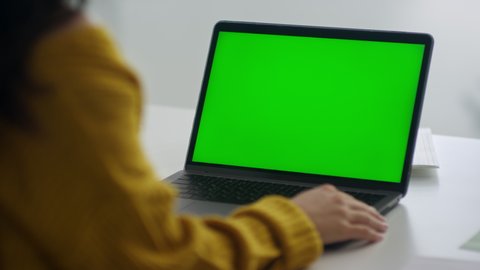 Back view unrecognized woman looking green screen laptop computer in office. Female freelancer reading news on computer. Close up of businesswoman working notebook at remote workplace.