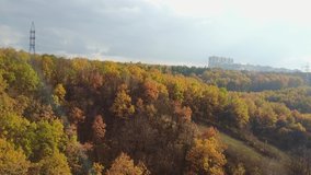 Aerial photography of the autumn forest on a Sunny day with a view of the city