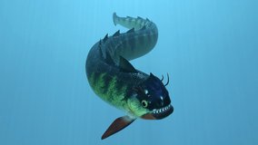 loop animation of a swimming fish creature demonstrating snake locomotion, or anguilliform. Mute 8 seconds video of 3d render.
