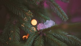 Closeup view 4k video of beautiful green branches of fir Xmas tree glowing outdoor with soft colorful lights of Christmas garlands