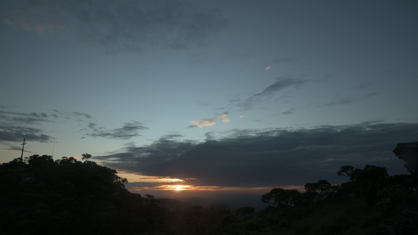 Trees Silhouettes at Sunrise in Brazil
