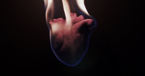 Slow motion closeup of an anatomically correct heart burning.