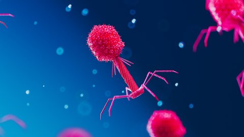 Many floating bacteriophages. Virus waiting for infecting bacteria. Bright red phages slowly moving against  blue background. Phage therapy as alternative to antibiotics. Medicine, science  4k HD
