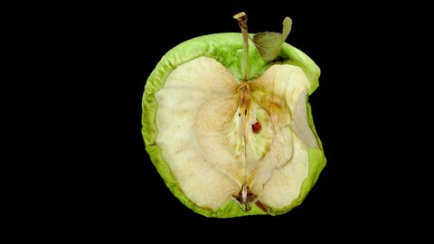 Bitten half of apple (Granny Smith) dry up, high quality time lapse shot, isolated on black. Ripe fruit shrink and change colour, dark patches appear on skin. Small leaf on stalk
