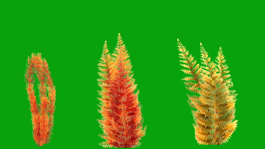 Underwater plants motion graphics with green screen background | Shutterstock HD Video #1048391161