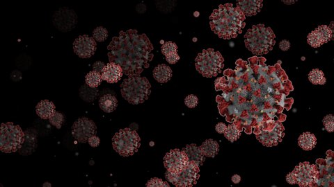 Alpha Channel Coronavirus Covid-19 Infected virus 2019-ncov pneumonia in blood. Medical Virus realistic model. Coronavirus animation. Microorganisms, Pathogens bacterium.