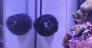 Fan Turbine for Water Flow Circulation in Aquarium
