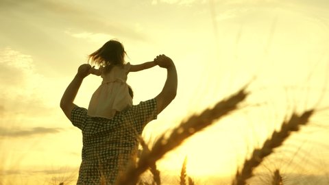 happy child and father are playing in field of ripening wheat. little daughter on fathers shoulders. baby boy and dad travel on field. kid and parent play in nature. happy family and childhood concept
