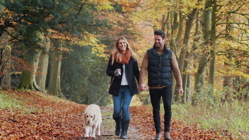 Happy Couple Taking Dog For Walk Along Path In Autumn Countryside Together Royalty-Free Stock Footage #1048468360