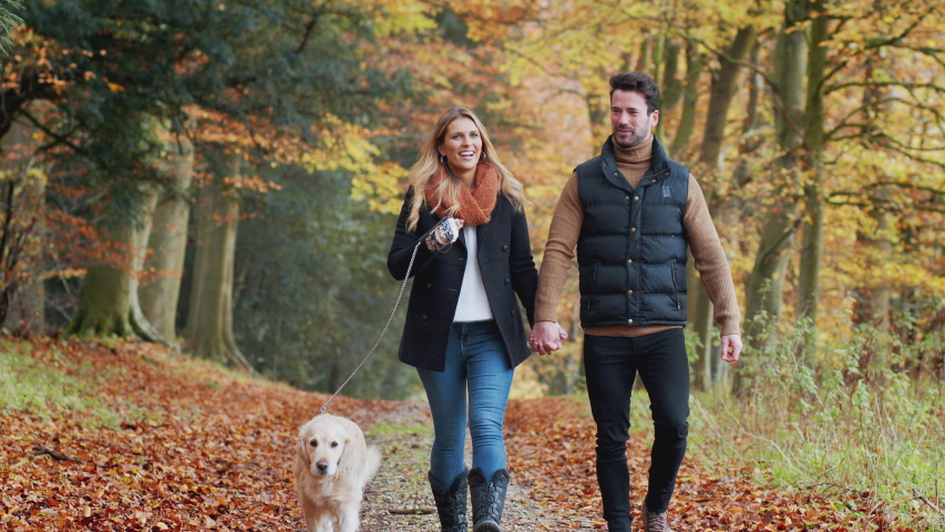 Happy Couple Taking Dog For Walk Along Path In Autumn Countryside Together Royalty-Free Stock Footage #1048468360