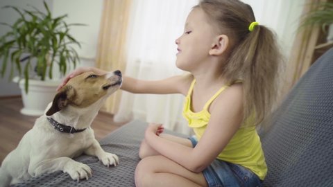 Little Girl Child Playing With Dog Jack Russell Terrier At Home In Room