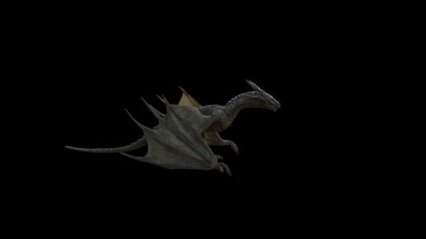 Walking Realistic Dragon. Production Quality footage in 4k resolution, ProRes 4444 codec with alpha channel and additional alpha matte, 25 FPS. Seamless Loop.