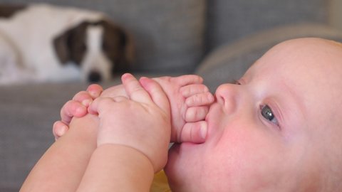 Funny Baby Sucking Her Finger On Leg