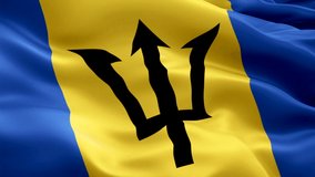 Barbados waving flag. National 3d Barbadian flag waving. Sign of Barbados seamless loop animation. Barbadian flag HD resolution Background. Barbados flag Closeup 1080p Full HD video for presentation
