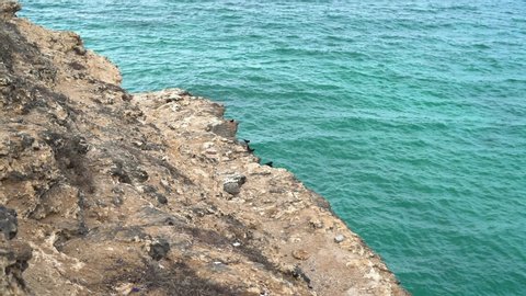 Cliffside in Salalah Oman on vacation watching birds over the Arabian sea
